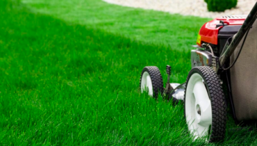 the best lawn mowing service in Orlando, FL